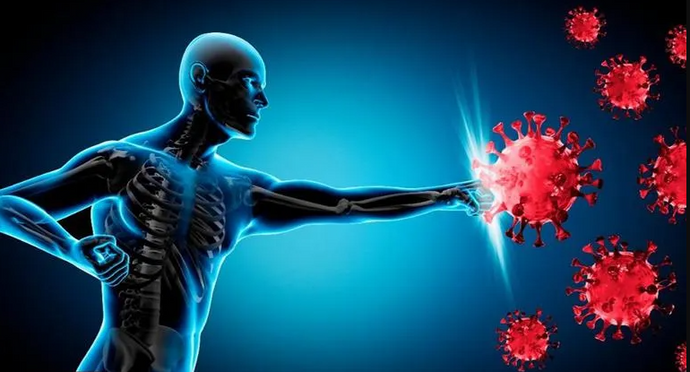 Shilajit Resin Enhances your Immune System